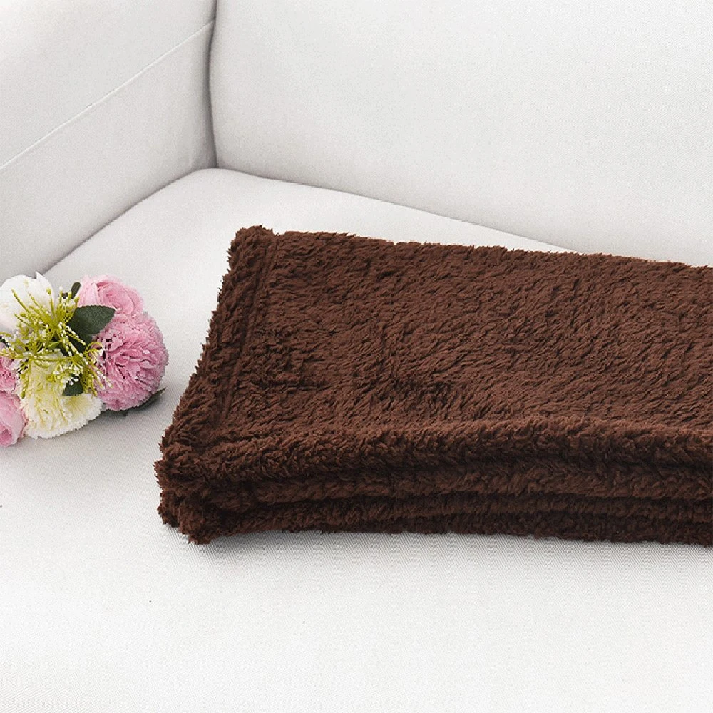 Wholesale/Supplier Pet Product Microfiber Fleece Double Sided Pet Blanket for Dog