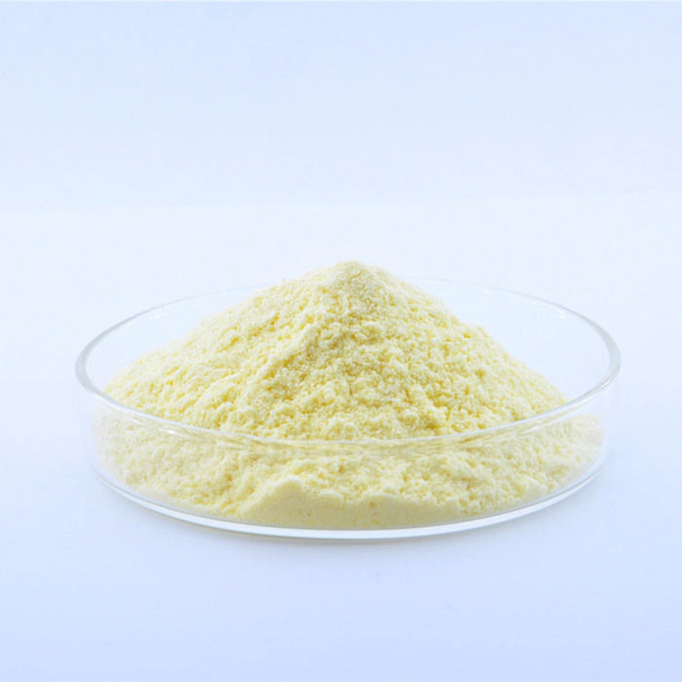 Rutin 98% Sophora Japonica Extract DAB USP Ep CAS 153-18-4