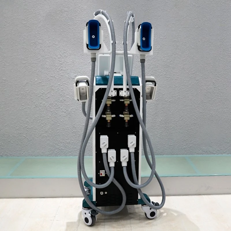 Professional cuerpo vertical Máquina para adelgazar la grasa corporal la congelación de la conformación de equipos de belleza