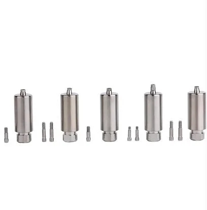 China Professional Manufacture Dental Titanium Alloy Premill Abutment Implant