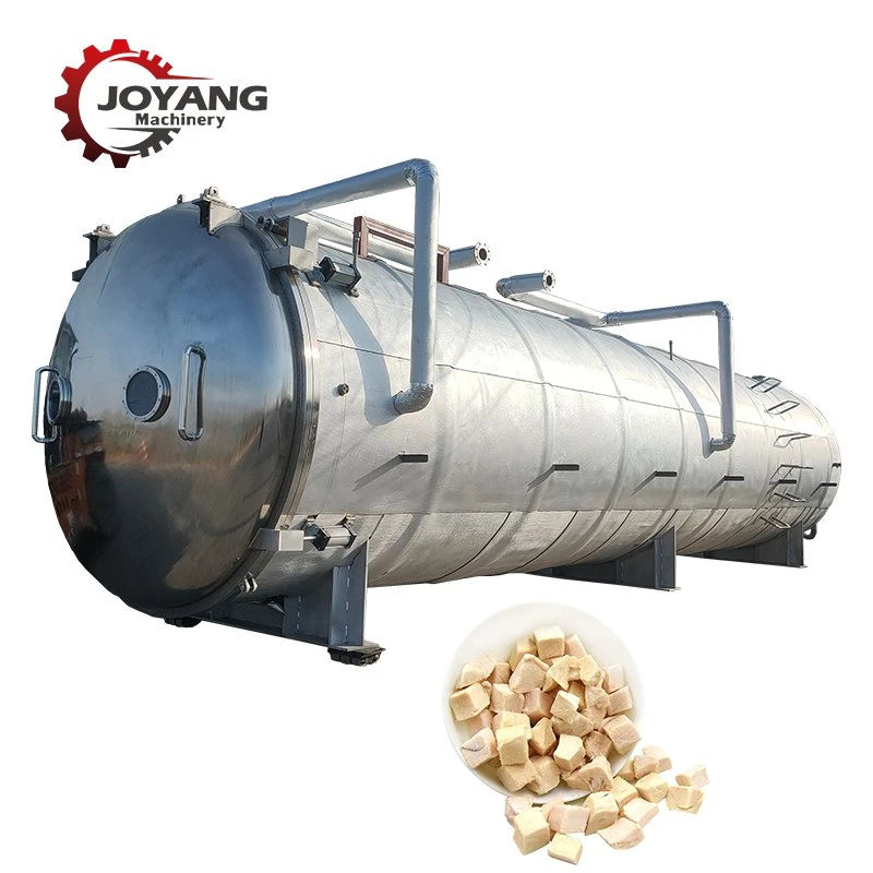 Foof Vegetable Fruit Vacuum Freeze Drying Equipment Machine