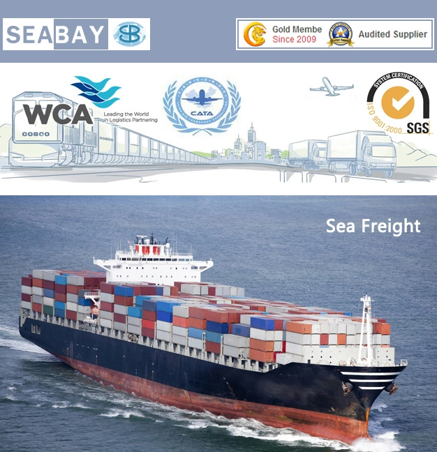 Professional China Freight Forwarder Company with FCL LCL Sea Freight Transportation Service