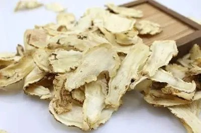 Hot Selling Natural Grown Angelica Sinensis Chinese Herbs Medicine for Health