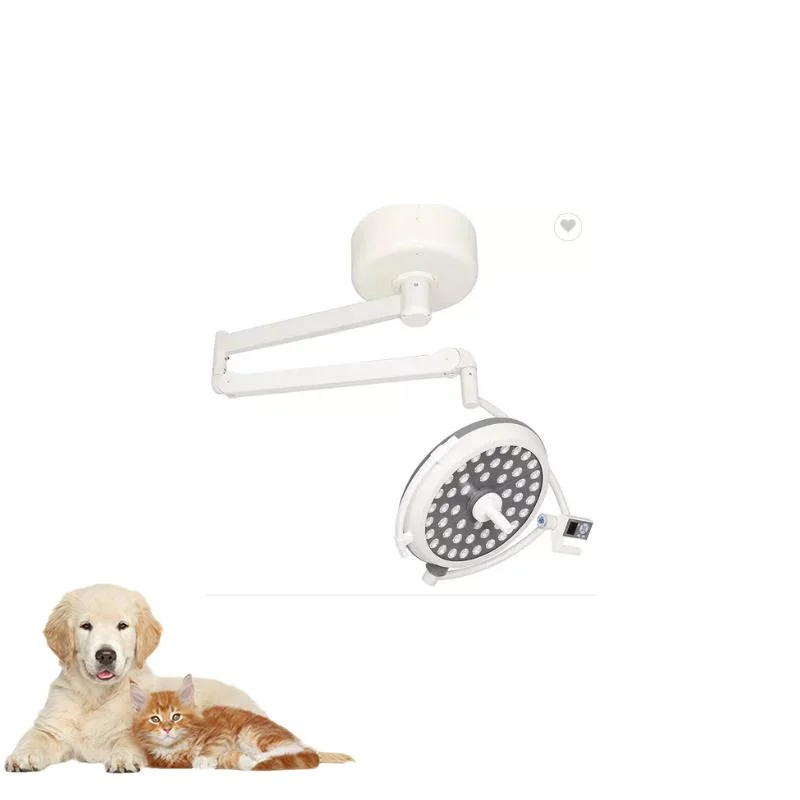 Veterinary Ceiling Mounted Operation Lamp LED Shadowless Medical LED Shadowless Operating Lamp