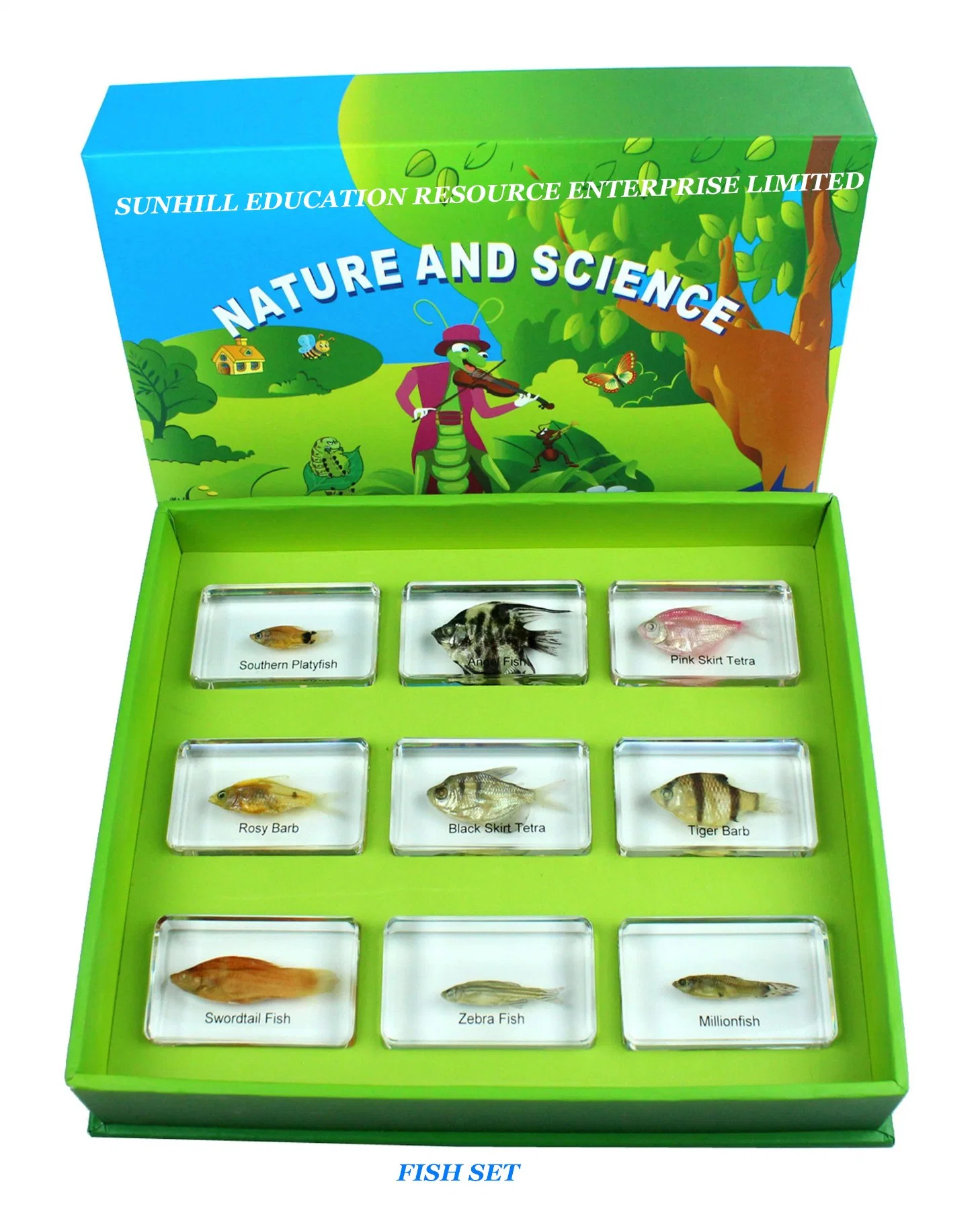 Children Toy, Nursery School Educationa Science Learning Toy, Kids Classroom Educationteaching Specimen for Kindergarten and Preschool-Animal Kingdom