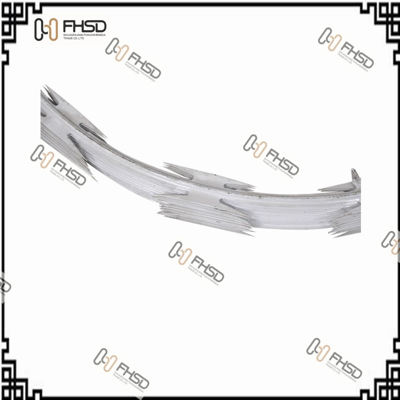 Alambre de hierro/acero/acero inoxidable galvanizado caliente (personalizado) alambre de cuchilla soldado Bto-28 Malla cuadrada/Diamante Anti-trepada