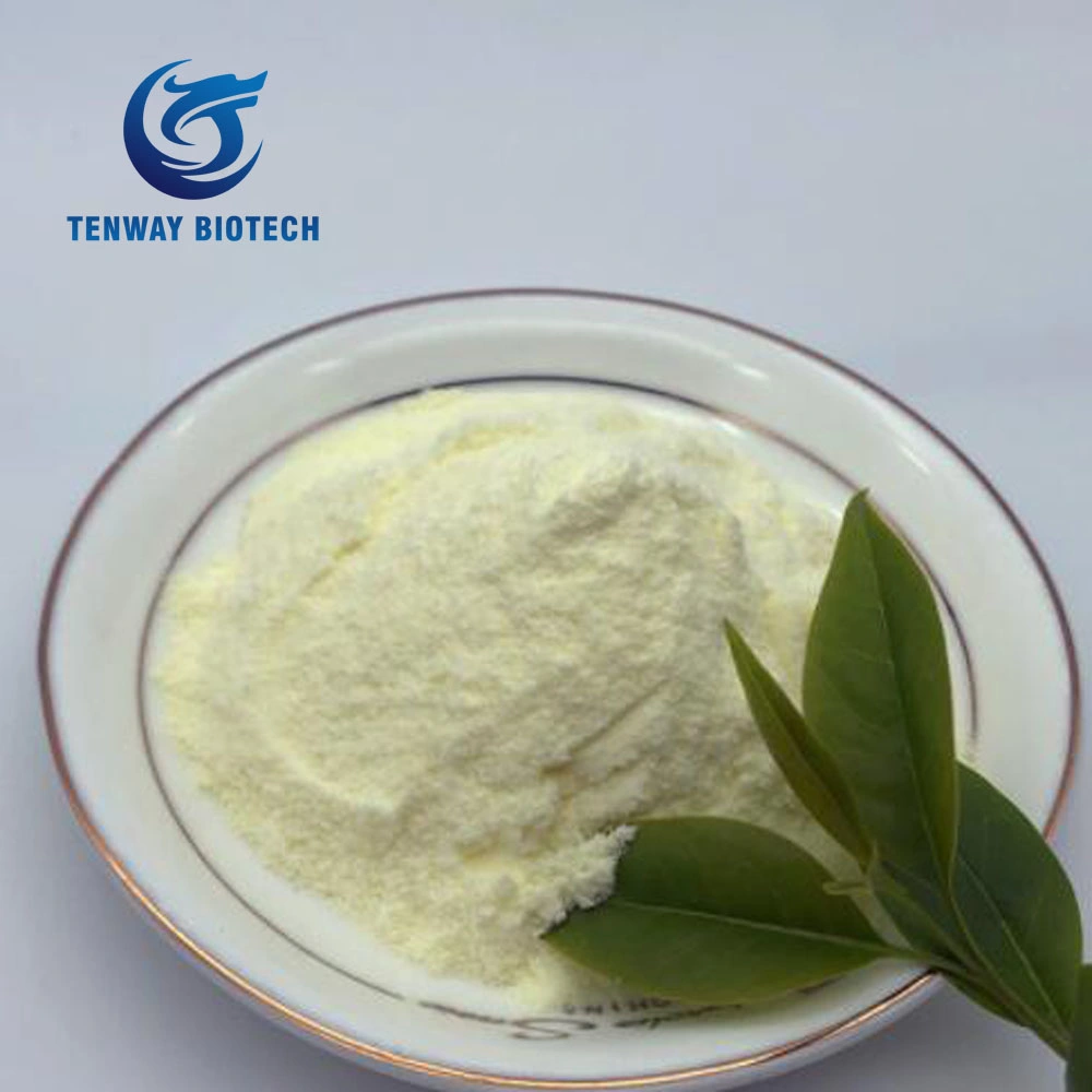 Best Quality Food Additive Non Dairy Cream Powder for Bubble Tea