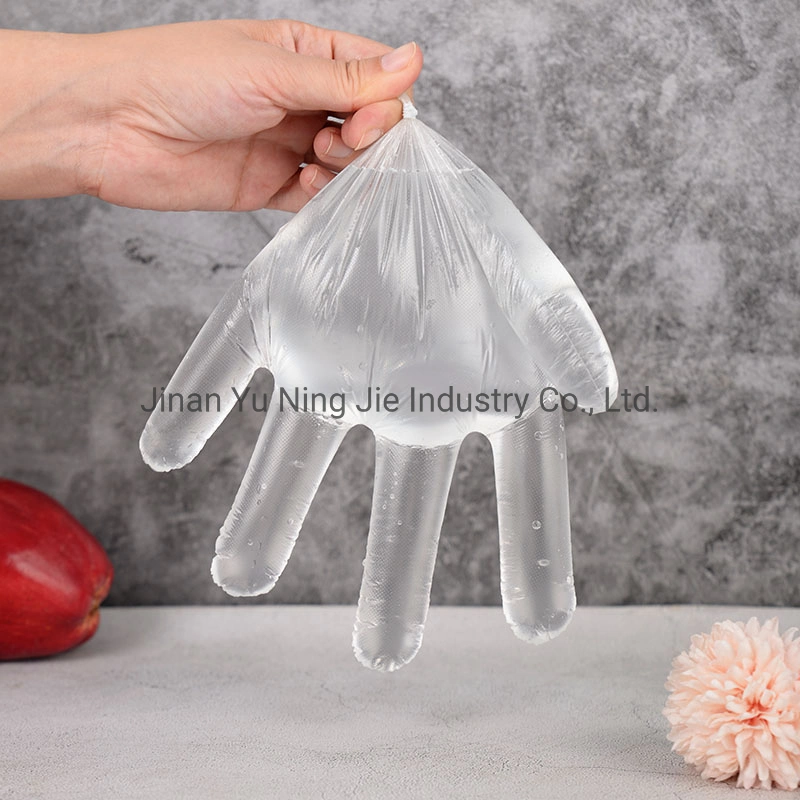 Virgin PE Material Cheap Disposable Transparent Household Plastic Gloves