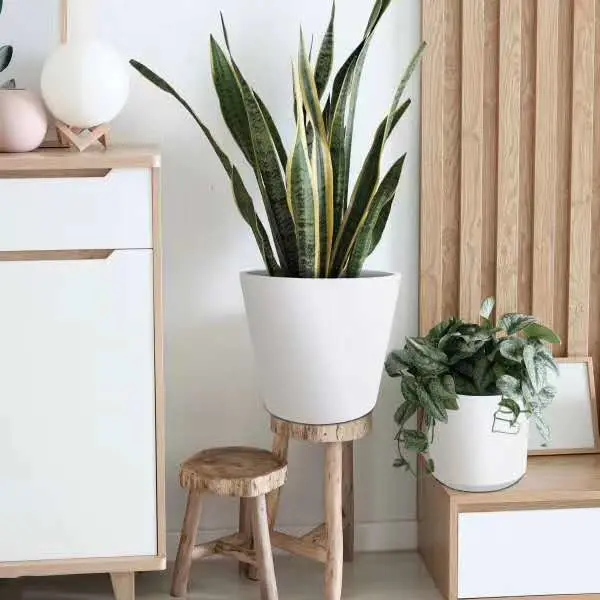 Home Decoration Eco Friendly Plastic Plant and Flower Pot Natural Stone Finishing