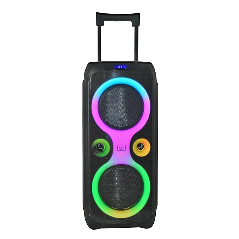 Dual 10 Inch Home Large Karaoke Portable Speakers 100W Bluetooth Video Party Trolley Speaker with Colorful Lights