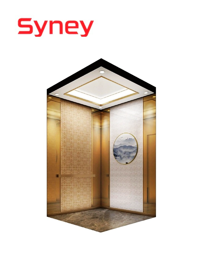 China Wholesale/Supplier Elevator Supplier Residential Elevators and Escalators Villa Passenger Lift for 10 Persons 800kg