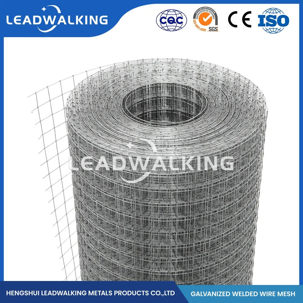 Leadwalking Welded Iron Wire Mesh Suppliers OEM Customized 48 Inch Welded Wire Fence China 1/2"X1/2" Inch Zinc Coated Galvanized Welded Wire Mesh