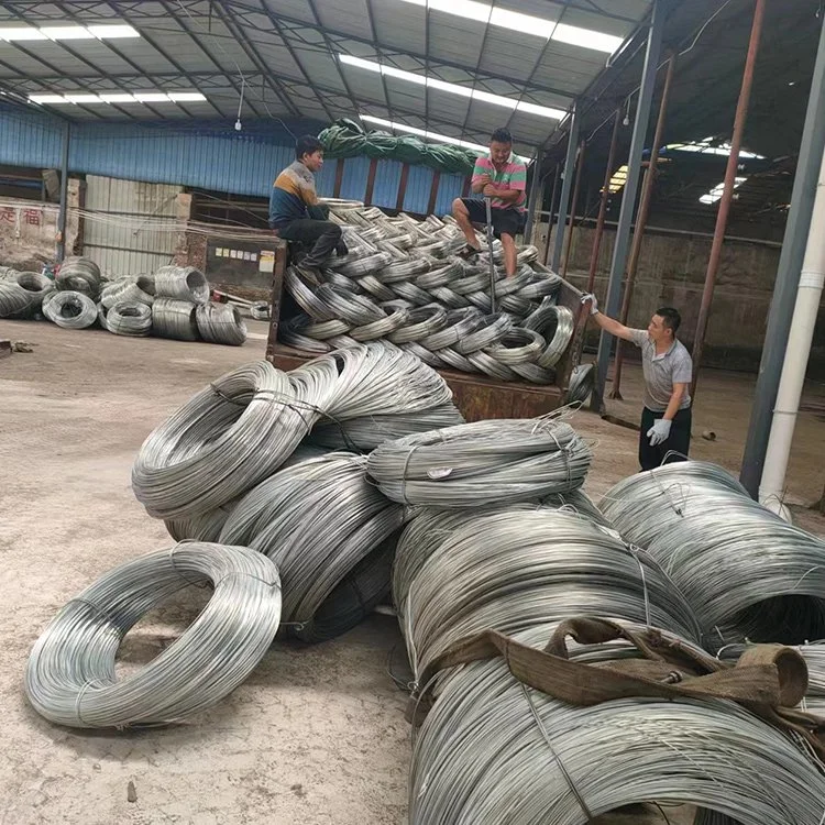 Q195 Ss400 S235jr Q345 Bwg 16 18 20 21 22 High Carbon Silver Galvanized Iron Wire Electro Galvanized Iron Wire in Wholesale/Supplier Price