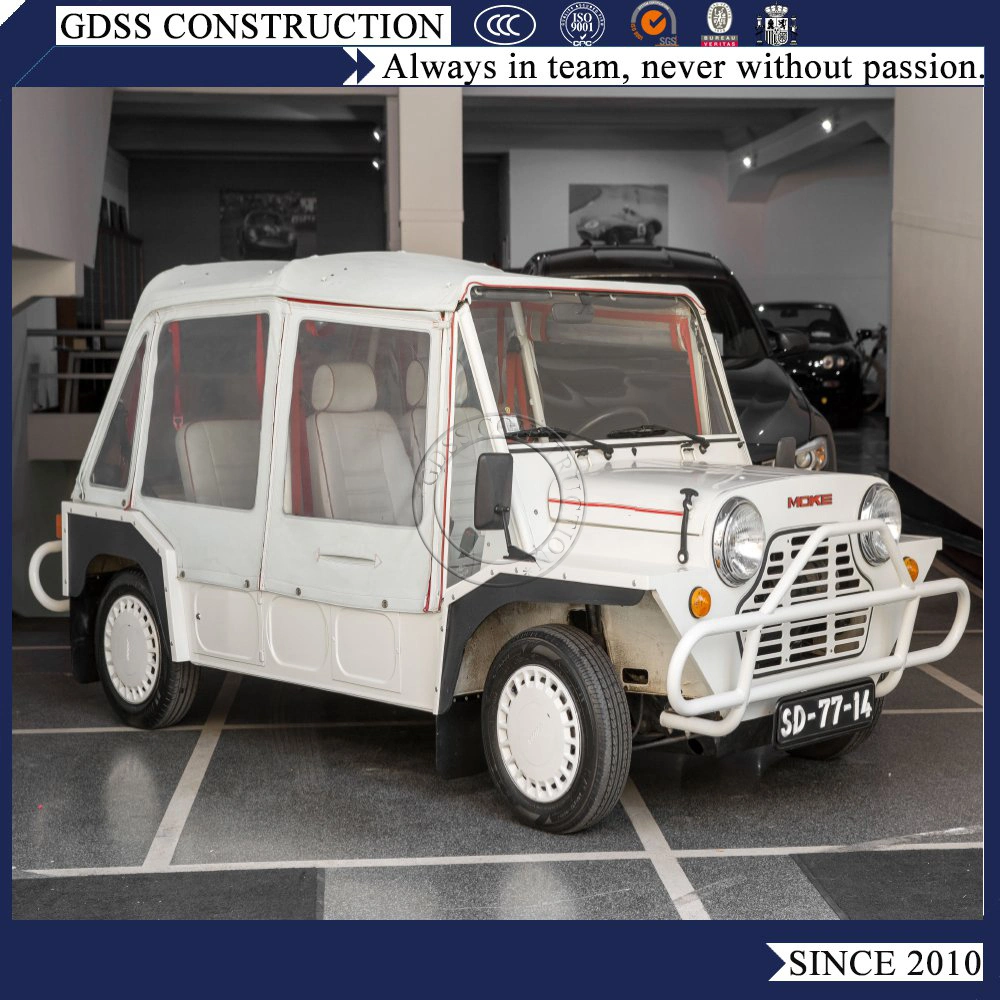 600cc Gasoline Engine Beach Mini Moke Car for Sale