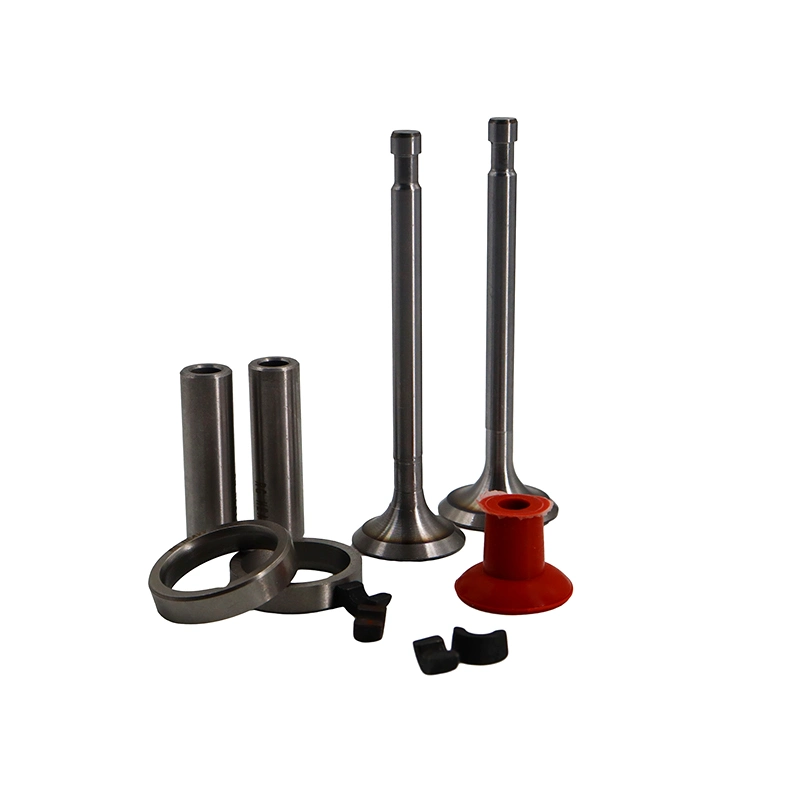 Agricultural Diesel Engine Parts Valve kits for R170A