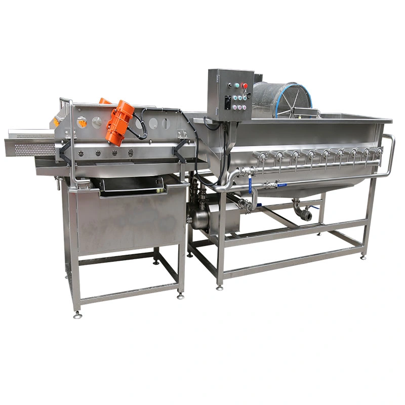 Vegetable Fruit Washing Cleaning Machine for Food Processing Center