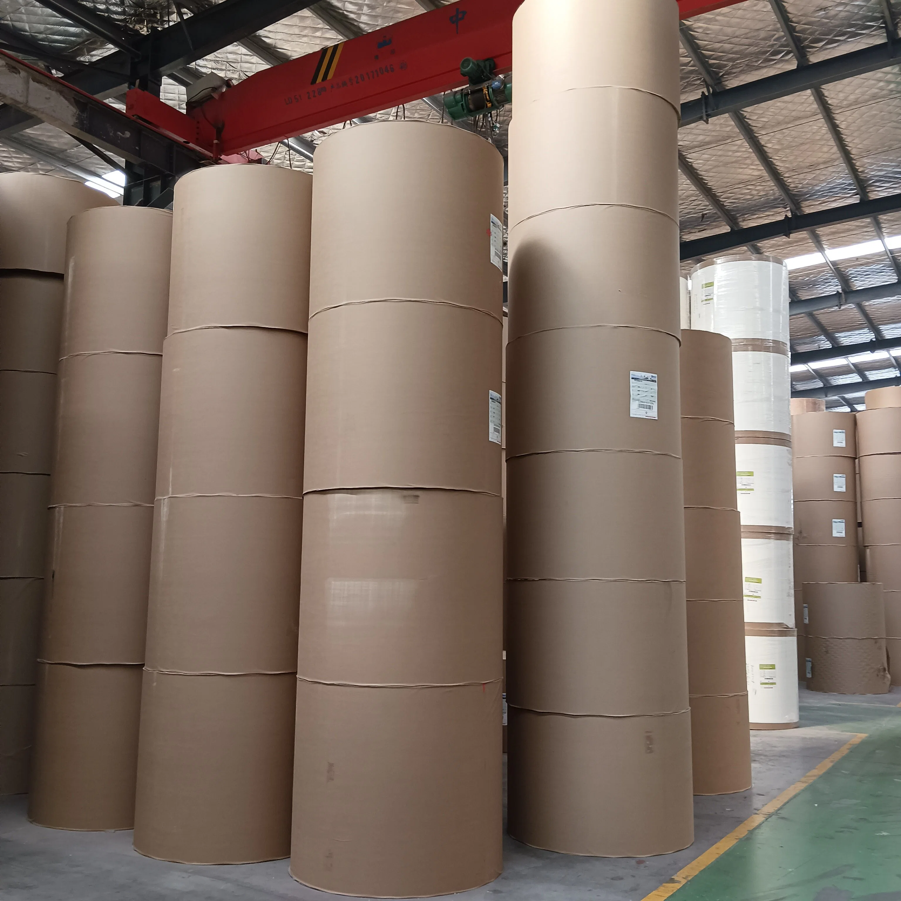 Wholesale/Suppliers Paper Cups Raw Material 150GSM-380GSM Single/Double PE Coated Paper Roll