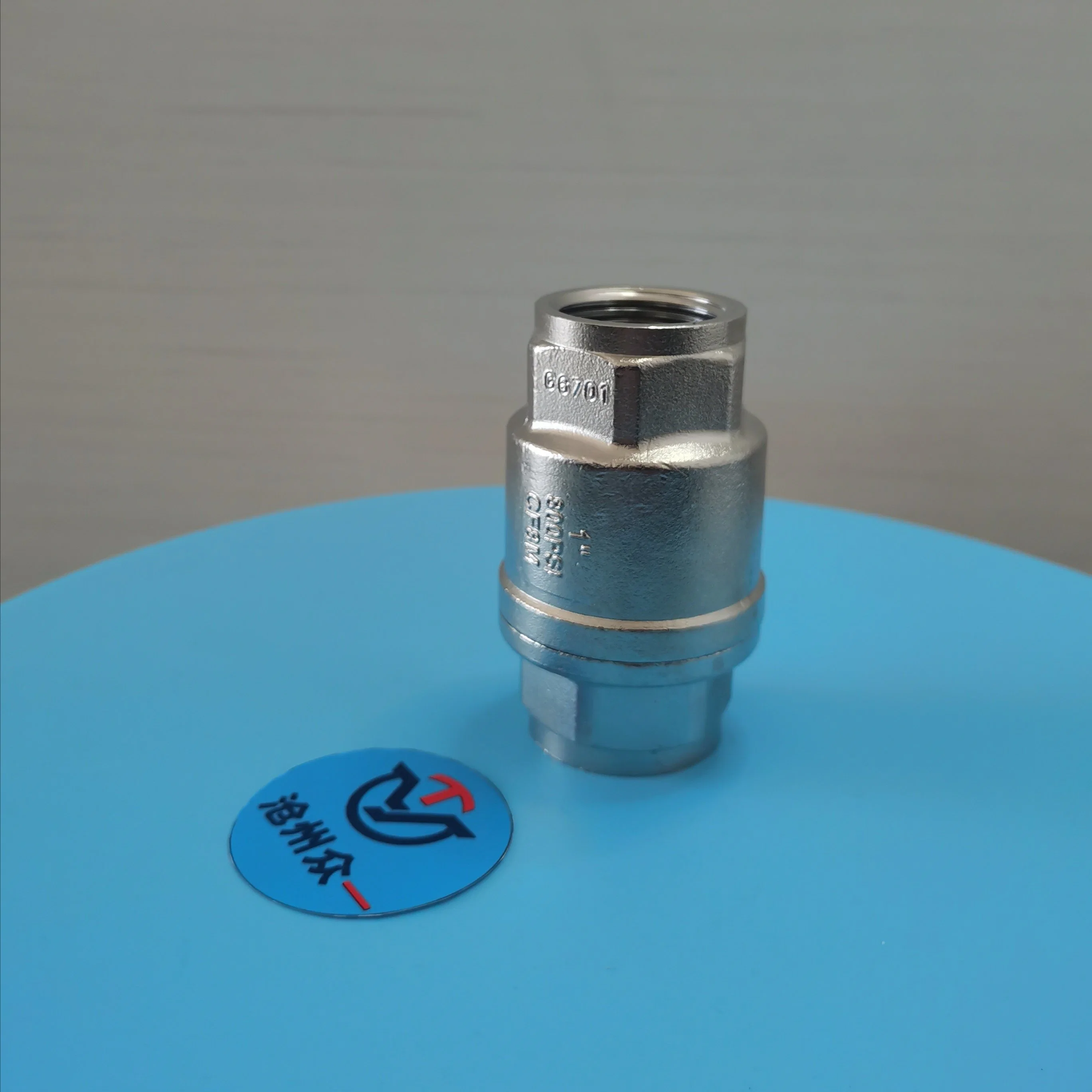 Stainless Steel 304 1/2 Inch Vertical Spring Check Valve