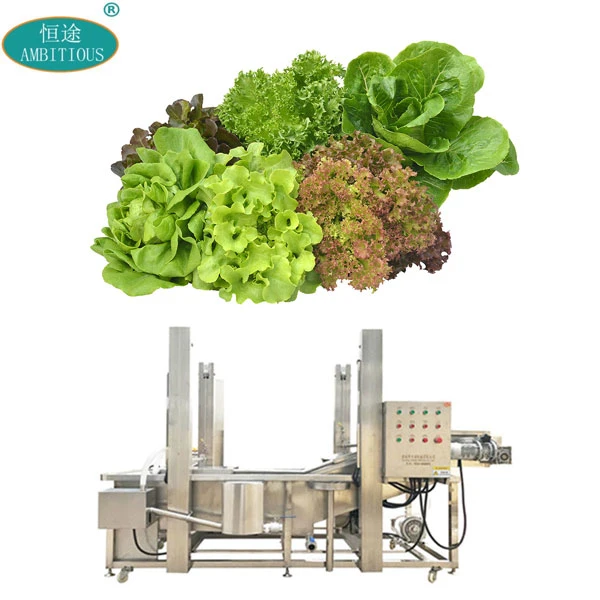 Automatic Conveyor Belt Bubble Foam Salad Vegetable Washing Machine