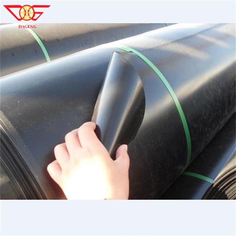 Waterproof HDPE Geomembrane Plastic Pond Liner UV Resistant for Ponds Hot Sell