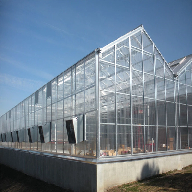 Neue Design-Gebäude Multi-Span Gewächshäuser Rahmen Sonnenraum Stahl Green House