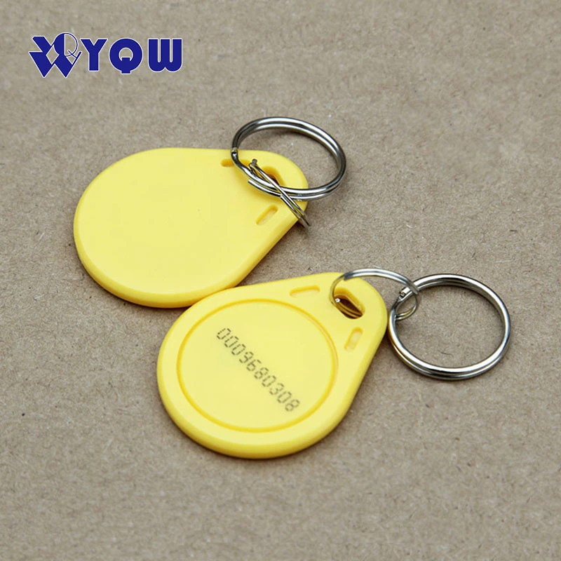 125kHz Lf Rewritable T5577 RFID Plastic Keyfob / Em4305 RFID Keytags