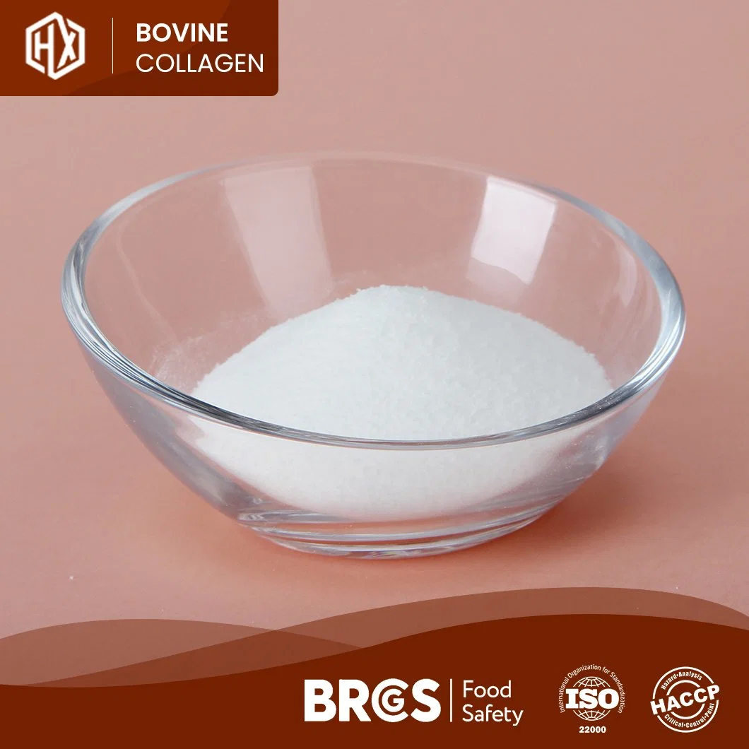 Haoxiang Quality Bovine Hide Collagen Peptide Better Hydrolyzed Bovine Collagen Peptide Original Factory OEM Customized Collagen Protein Powder From Grass Fed Cows