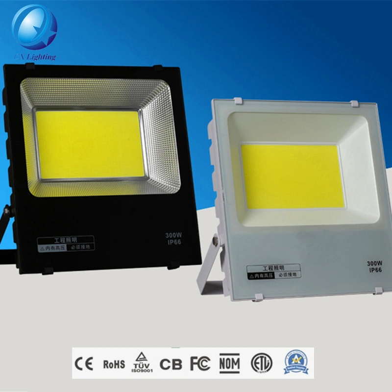 IP65 High Brightness Working Time Movable Light 100W LED Flood Light