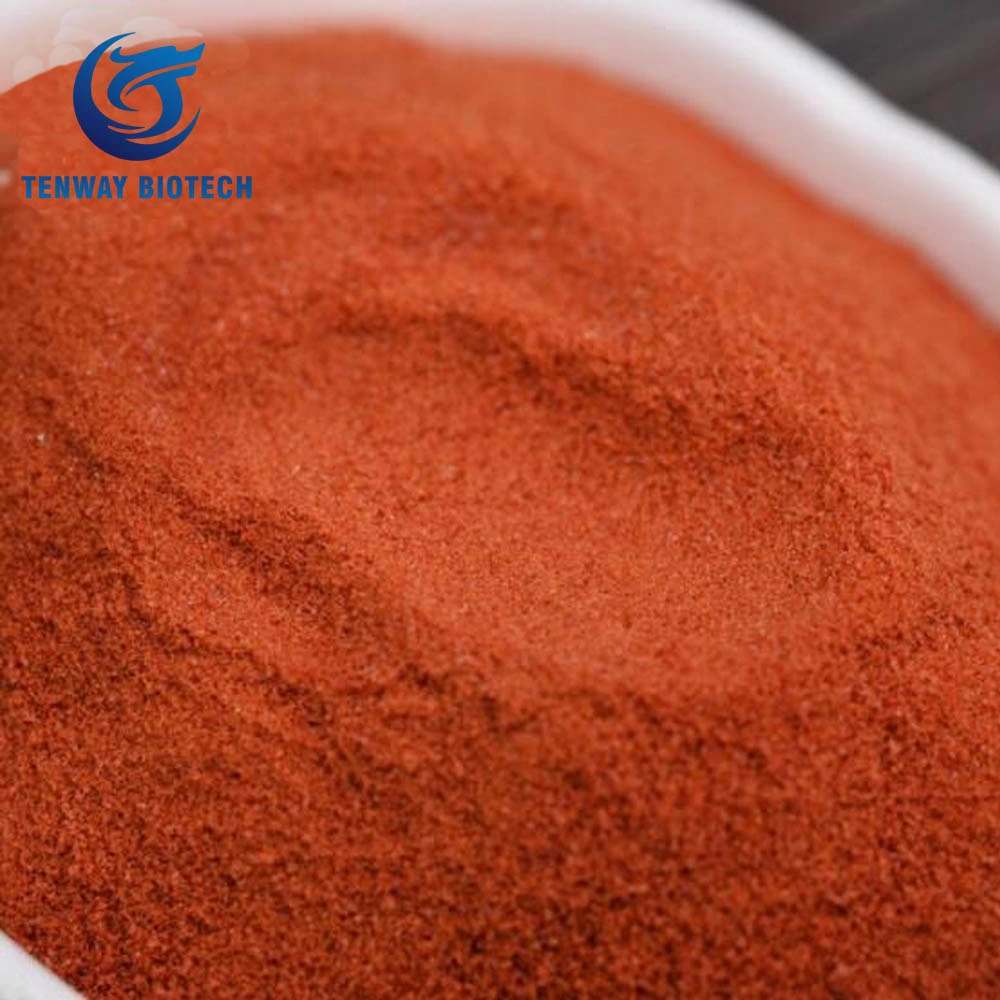 China Manufacturer Non-GMO Food Ingredient Tomato Extract Powder for Ketchup