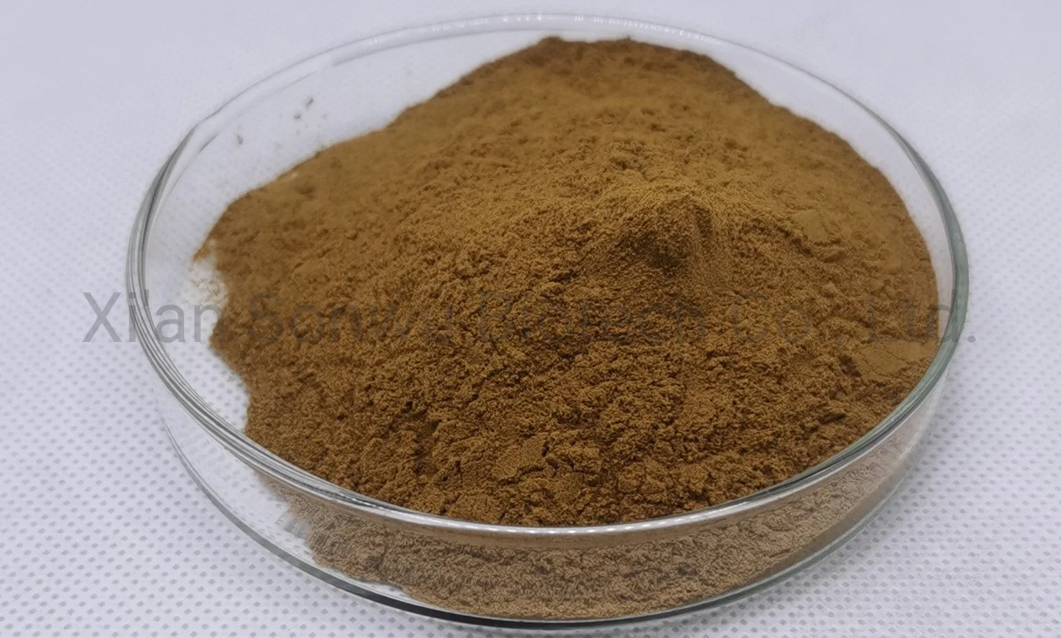 Sonwu عالية الجودة Perlla Leaf Extract Perilla Leaf Extract
