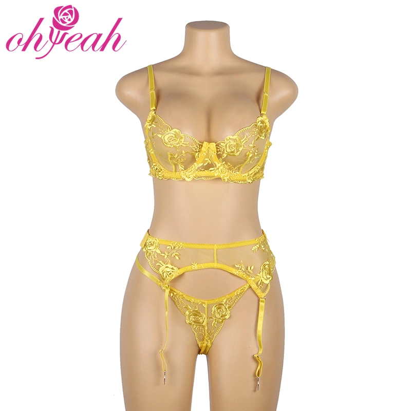 New Arrivals Sexy Bra and Panties Garter Lingerie Underwear for Women