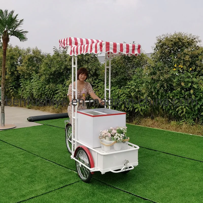 China Benfu Electric Pedal Bier Trike Fast Food Coffee Kiosk Eiscreme-Fahrrad