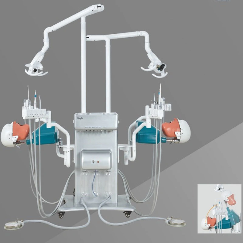 Stomatology Manikin Dental Phantom Head Oral Simulator for Training Practice