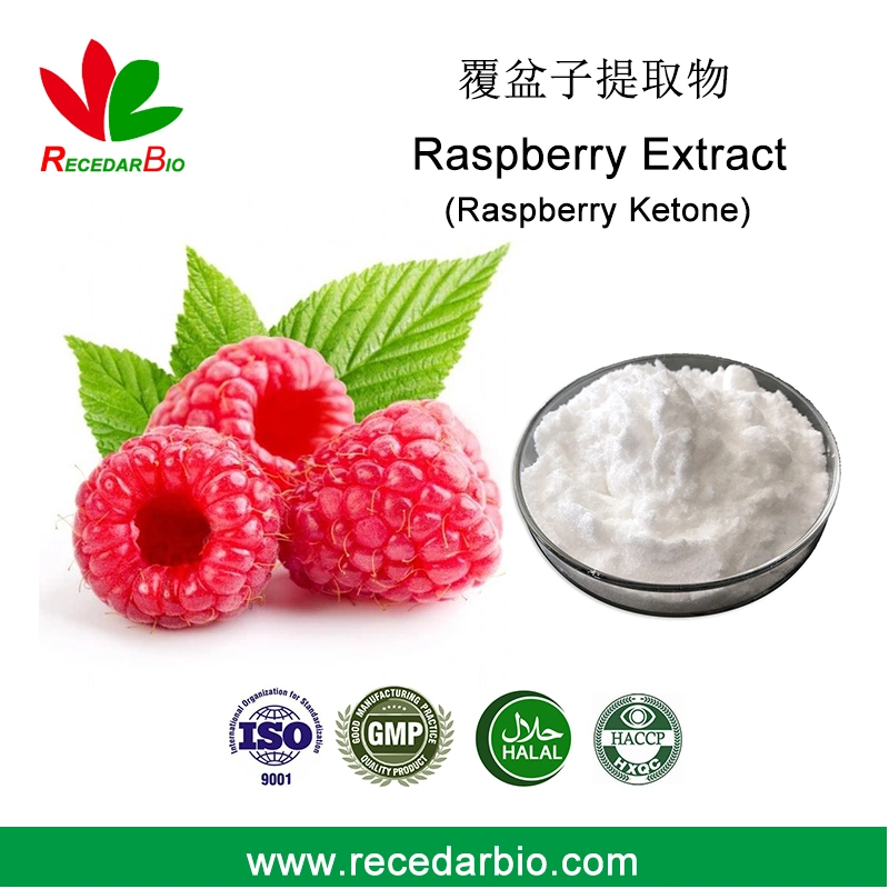 CAS 5471-51-2 Extract Powder Raspberry Ketone