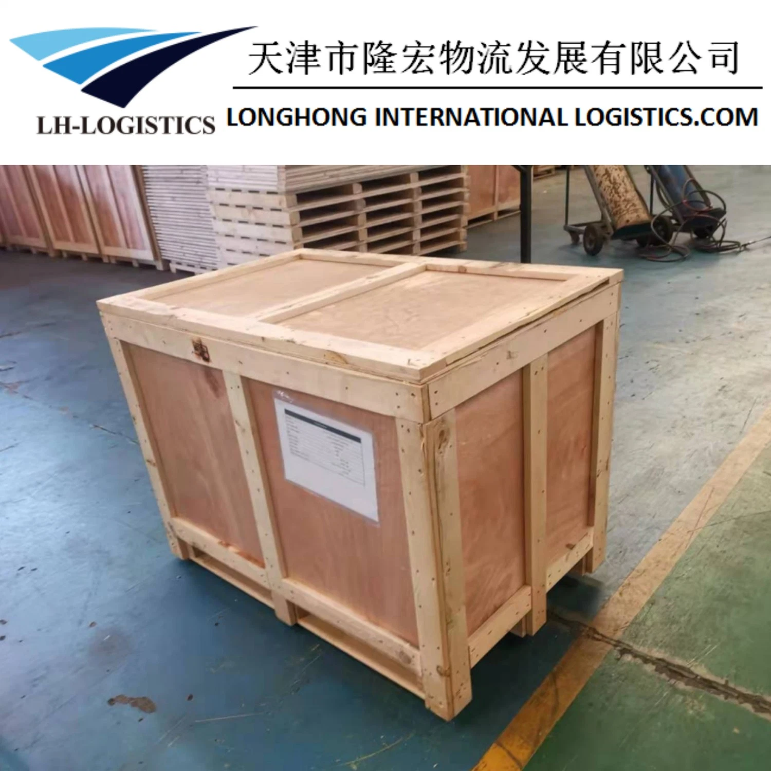 Professional Sea Shipping Service Sea Freight From Guangzhou, Ningbo, Qingdao. 1688