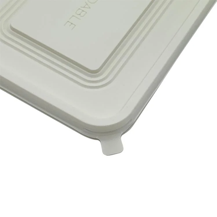 Disposable Compostable Square Cornstarch Dish