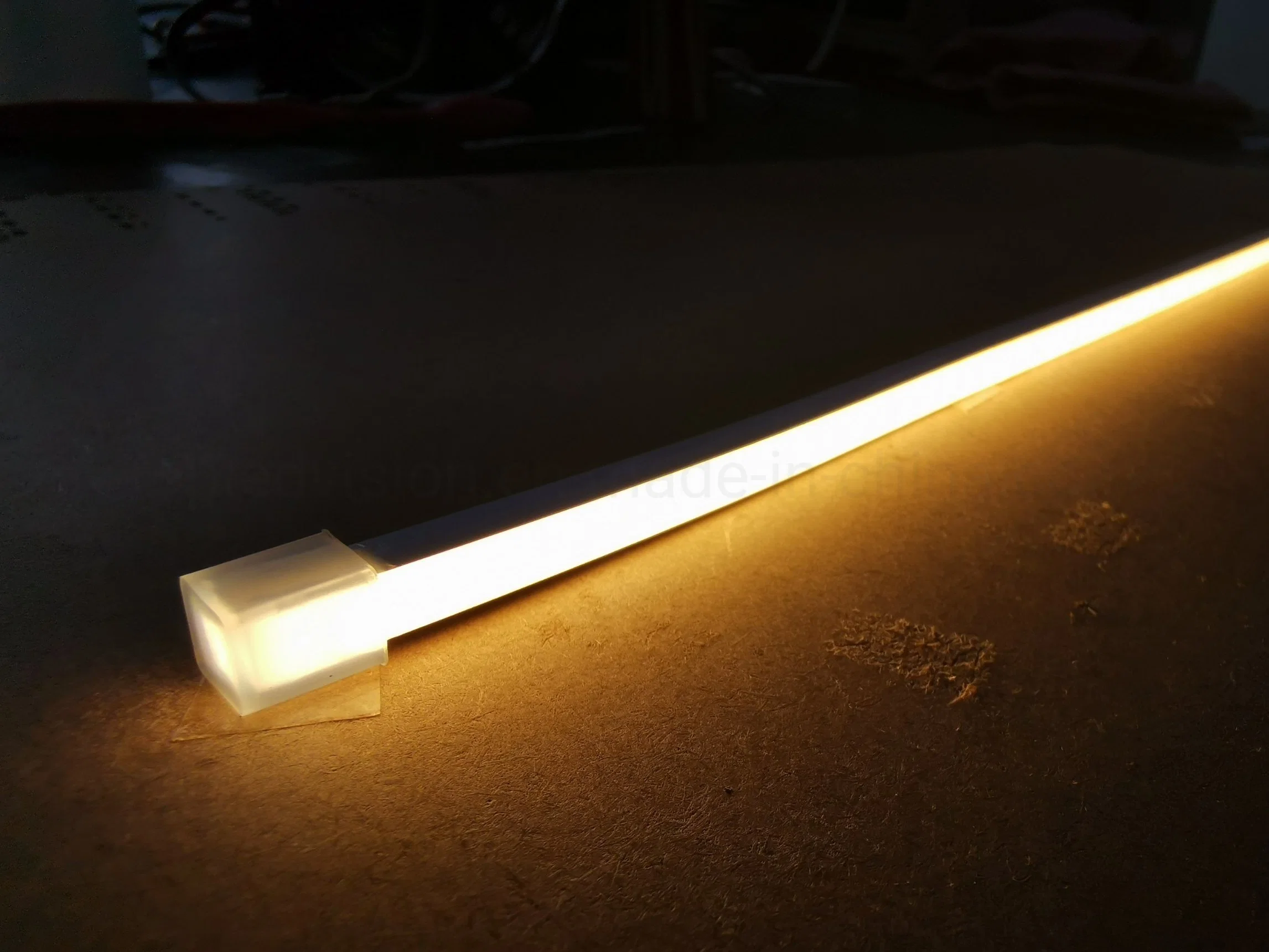 Flexible neón impermeable al aire libre de la luz de la cuerda doble arbitrariamente TIRA DE LEDS luces para la iluminación