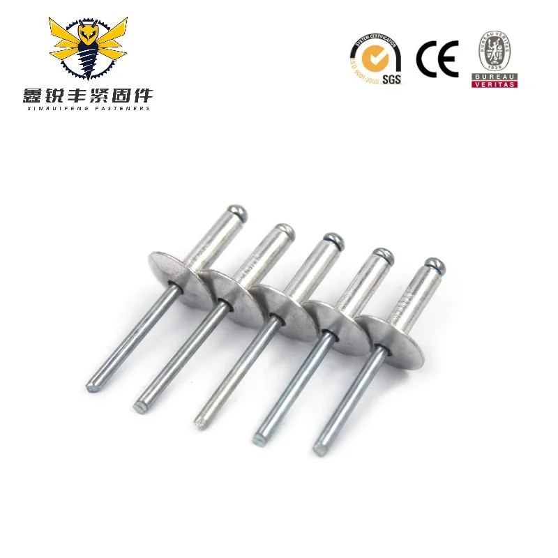 High-Quality Blind Rivet Stainless Steel Aluminum Steel Rivet Flat Head-Open Type Dome Head-Pop Rivet