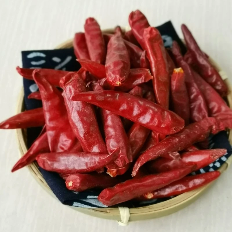 Comercio al por mayor pimiento seco Red Hot Chili