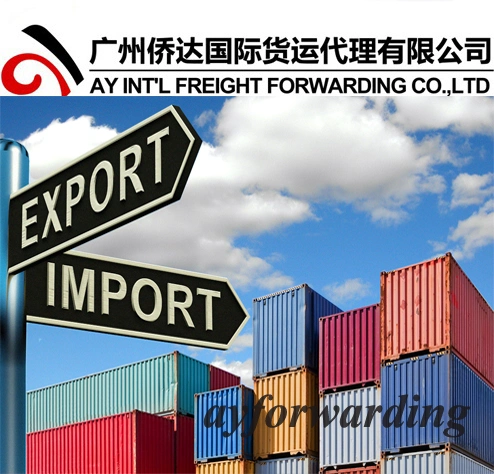 China Forwarder From Guangzhou/Shenzhen/Ningbo/Shanghai to Kuf Samara