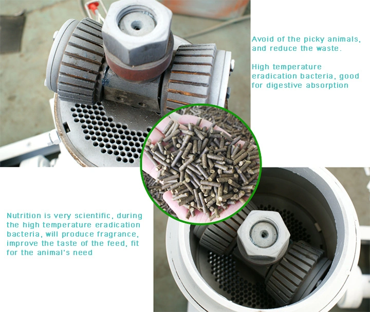 Home Use Animal Feed Pellet Machine for Sale