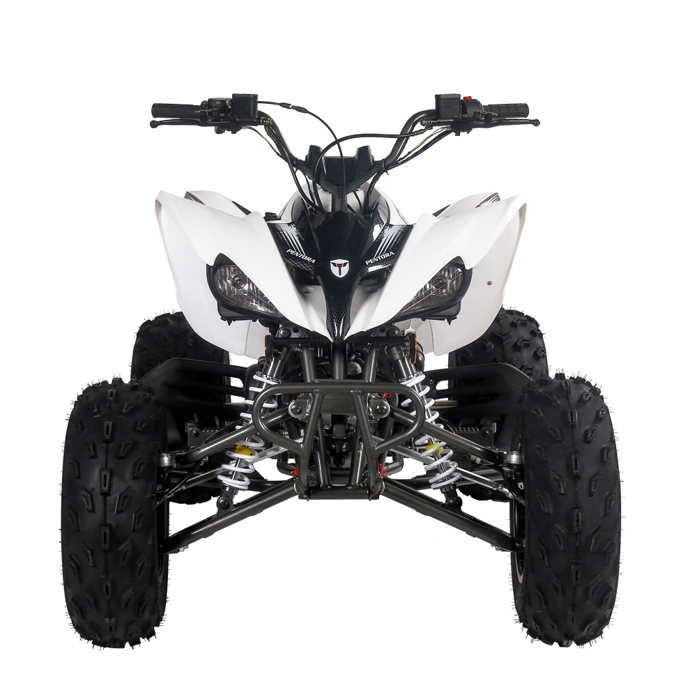 Высокое качество 125 см Mini Quad ATV