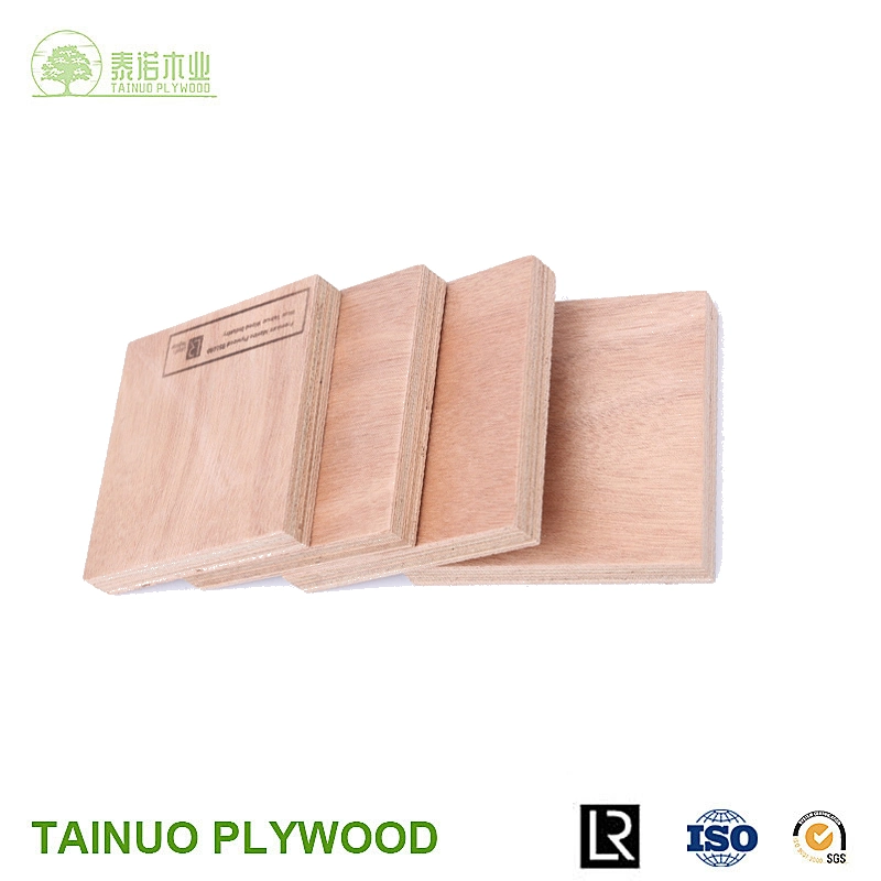 Factory Lloyds Approved 4X8FT 13mm 18mm Okoume Waterproof Marine Plywood