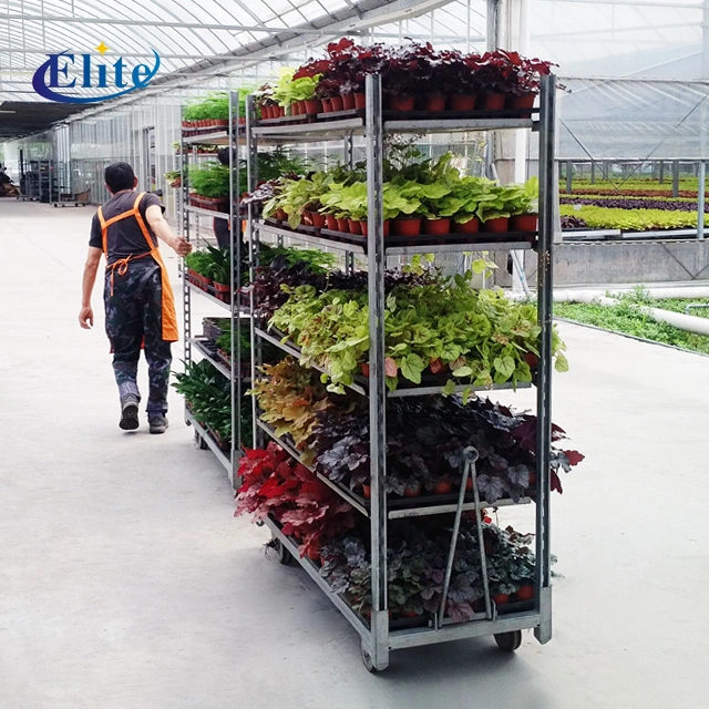 Greenhouse Flower Plant Transport Storage Metal Galvanized Rack Shelf