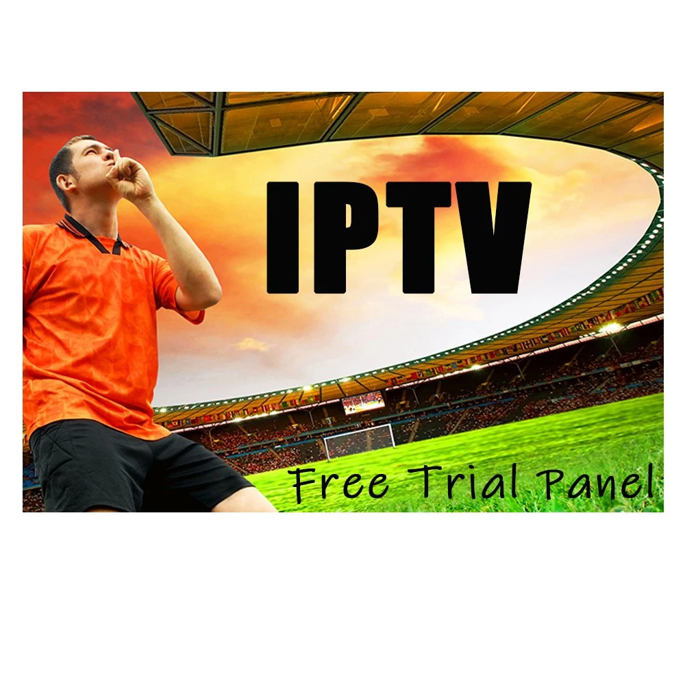 El mejor precio super Panel de revendedor de IPTV Canal Europa árabe inglés Polonia VOD IPTV M3U para Android Smart TV Abonnement un año