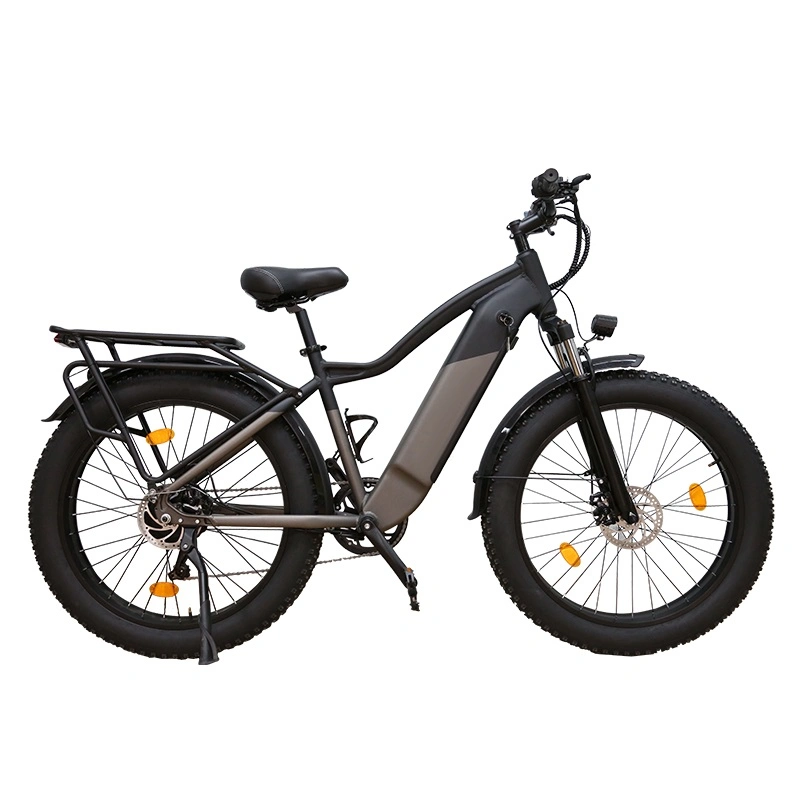 7 velocidad 750W eBike Cruiser Walking barato Dirt Bicicletas eléctricas Batería E bicicleta
