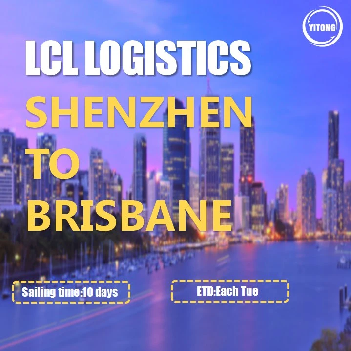 LCL Ocean Freight Transportation Company From Shenzhen to Brisbane