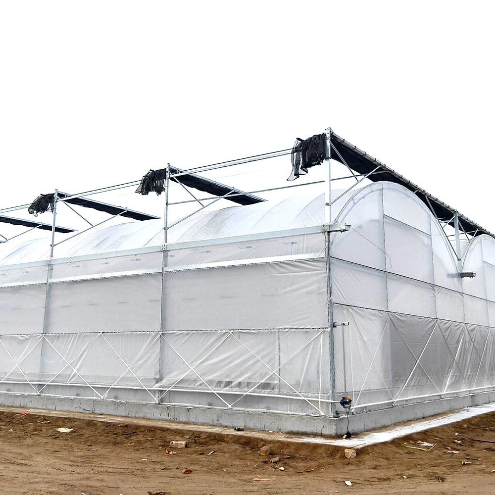 Smart Tunnel/Arch Spectral Resolution Heat Preservation PE/Po Film Agriculture/Commercial Eco Greenhouse for Tomato/Cucumber/Pepper