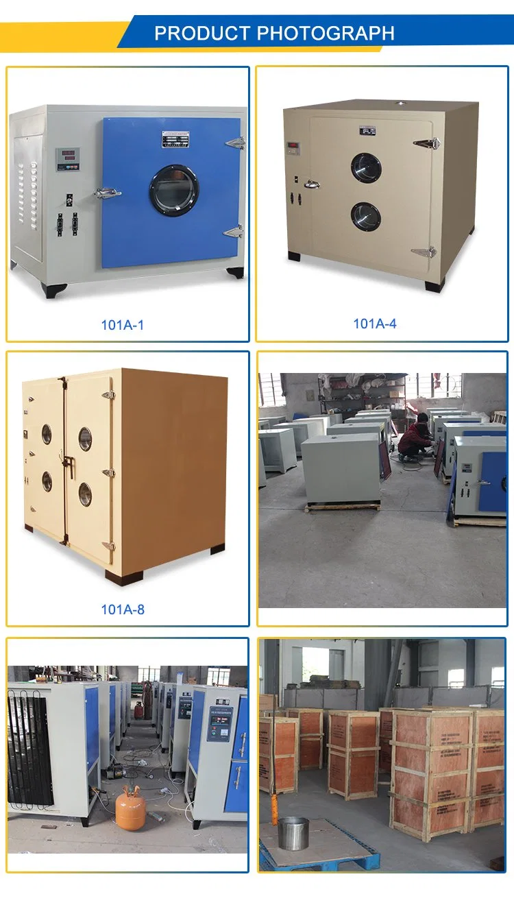 Lab Electric Heating Blast Drying Oven