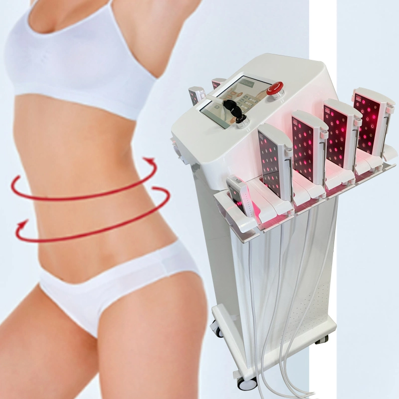 Vertical 5D Lipo Laser Fat Cell Reduction Body Slimming 210MW Smart Weight Loss Machine